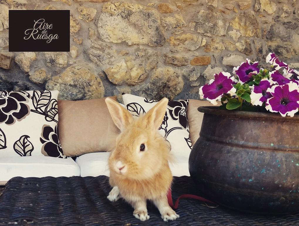 Aire De Ruesga Hotel Екстериор снимка